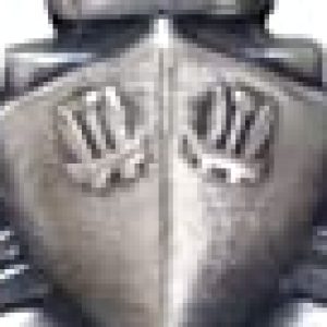 Profile photo of HOSHANG