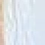 Profile photo of Allyson R Ugarte